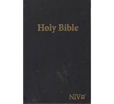 niv holy bible giant print black