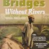 guide to understanding bridges without rivers