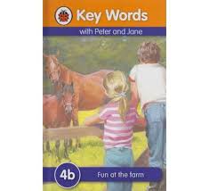 ladybird:key words w/ peter & jane 4b